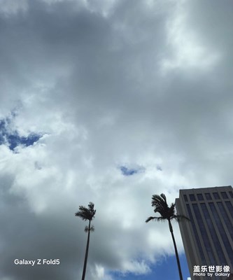 【隨拍分享】千姿百態(tài)，嘆為觀止