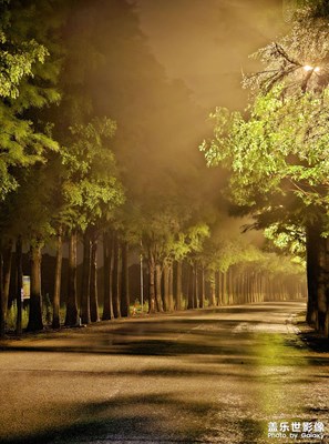 雨后夜色