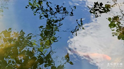 【七月風(fēng)光】今日晴