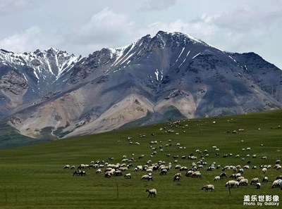 【多巴胺的夏天】初到祁連好風光