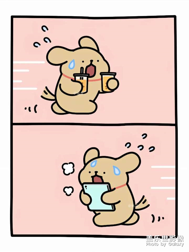 線條小狗 很治愈