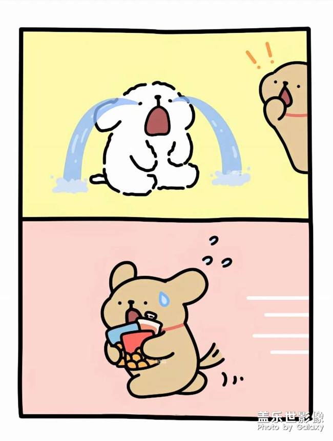 線條小狗 很治愈