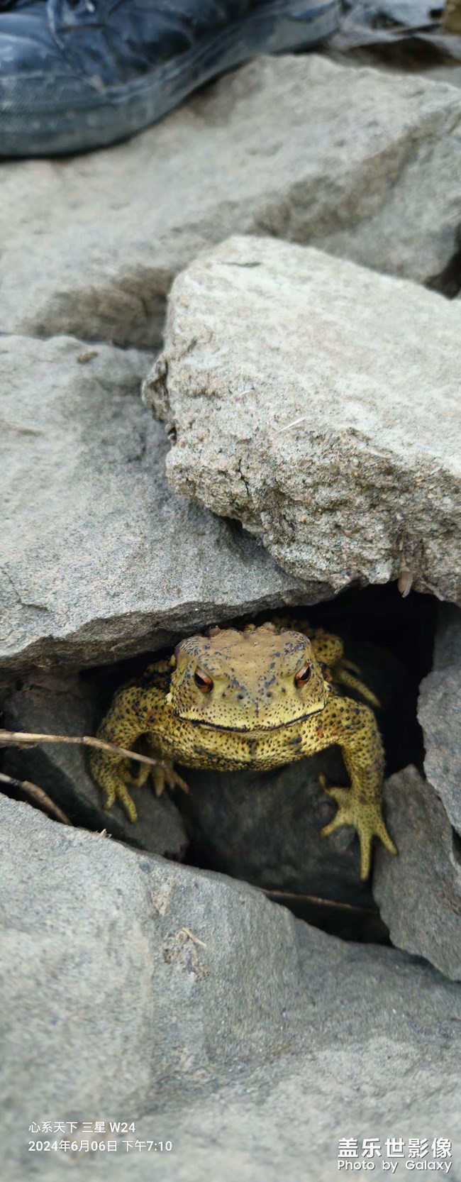 釣魚的臨時(shí)朋友