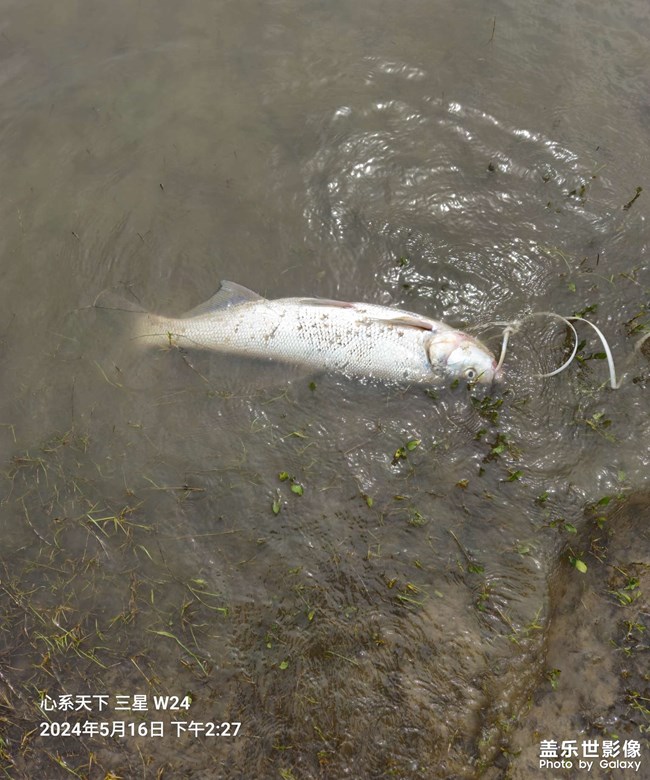釣魚的臨時(shí)朋友