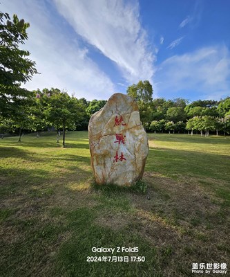 【客家古邑?萬綠河源】客家文化公園隨拍 E
