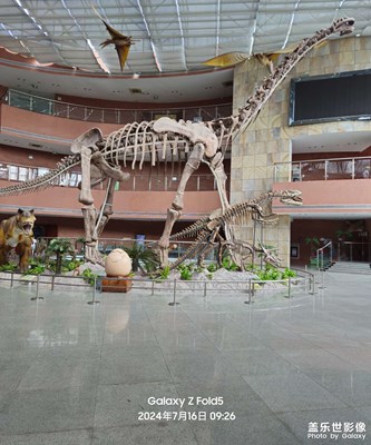 【客家古邑?恐龍之鄉(xiāng)】河源市中華恐龍博物館