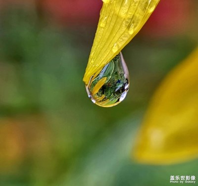 【最美一刻】小雨滴