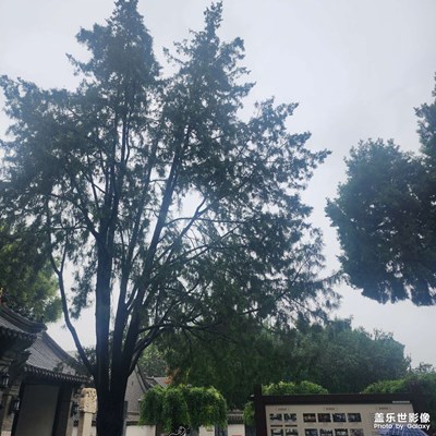 【邊走邊拍】 隨拍美景