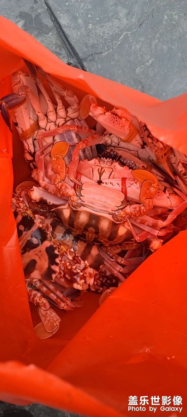 ，，，