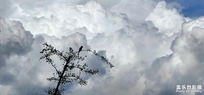 掃街，掃風(fēng)光，意境美。