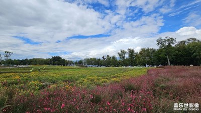 【難忘的夏天】蒼山洱海邊騎行