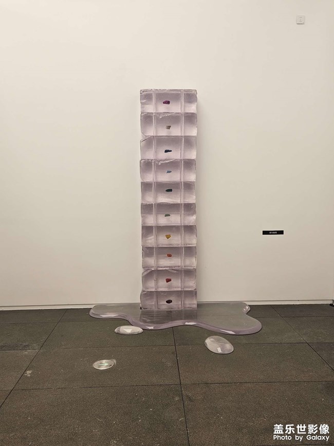 不是今天拍的 但今天想發(fā)