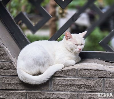 已開獎(jiǎng)【蓋樂世影像周賽第359期】——秋高氣爽