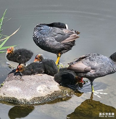 【隨處精彩】 隨拍美景