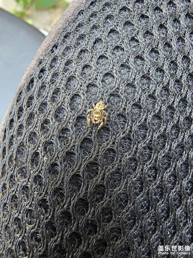 發(fā)現(xiàn)一個(gè)小可愛