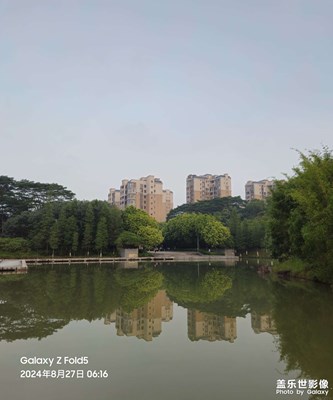 【隨拍分享】晨曦