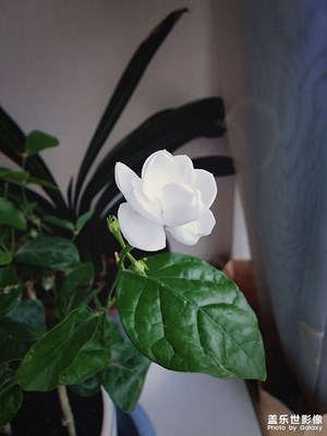 上年紀(jì)了嗎？