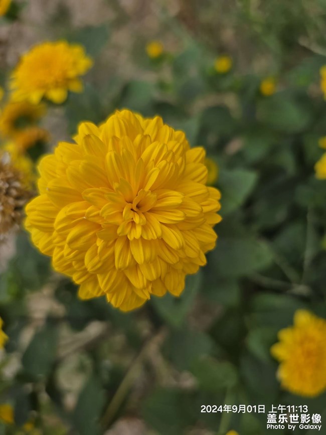 誰不曾有過輝煌時刻，誰又不曾能逃過最終的歸宿