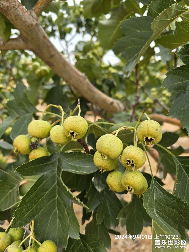 誰不曾有過輝煌時刻，誰又不曾能逃過最終的歸宿