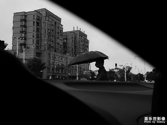 蕭條已入寒空靜，颯沓仍隨秋雨飛