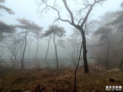 【美好遇見】+仙境降臨