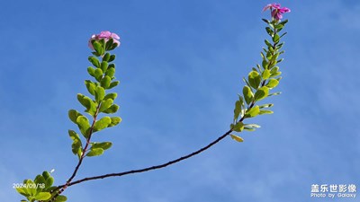 每天比昨天開心一點就好