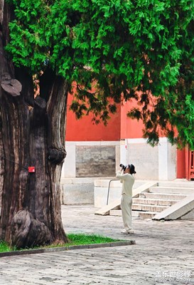 已開獎(jiǎng)【蓋樂世影像周賽第363期】——永恒瞬間