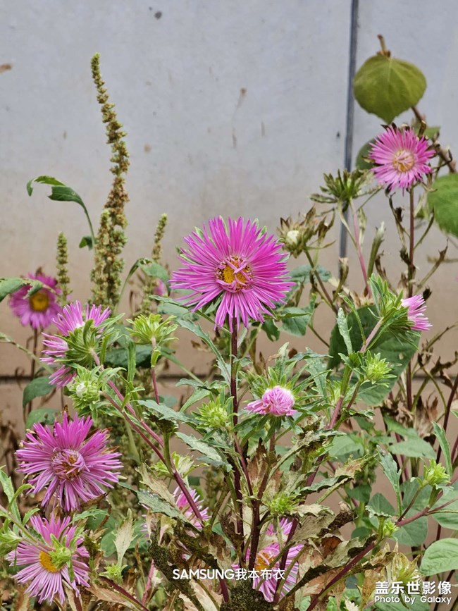 200000000砍成啥了？解析力都沒(méi)法看了