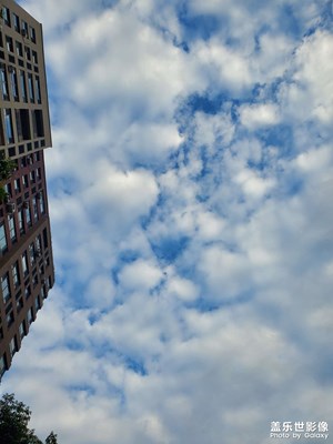 【金九銀十迎雙節(jié)】掃街