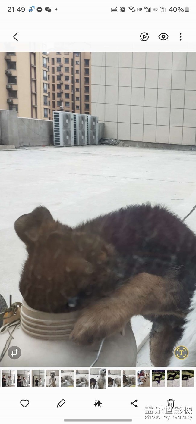 往事1去不復(fù)返