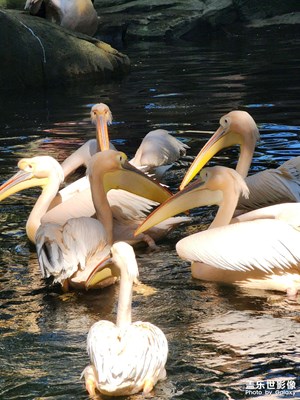 物理長焦的魅力時刻
