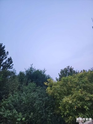 【靜美時分 】秋天隨拍