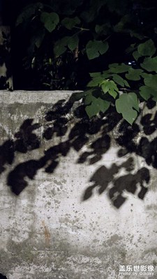 【靜美時(shí)分】＋生活的美，無處不在