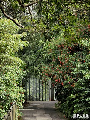 【靜美時(shí)分】太平山徒步