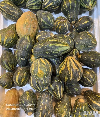 【隨拍分享】MINI果蔬