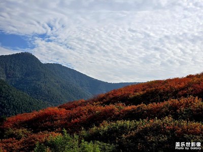 【我眼前的世界】人間秋色