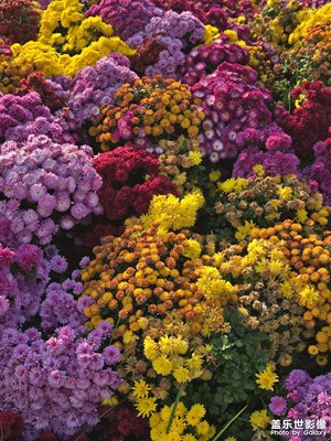 【我眼前的世界】+2024年太原稻田音樂節(jié)