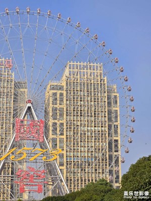 【秋冬時光】+ 發(fā)呆、聚會、曬太陽