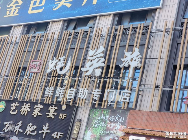 隨拍