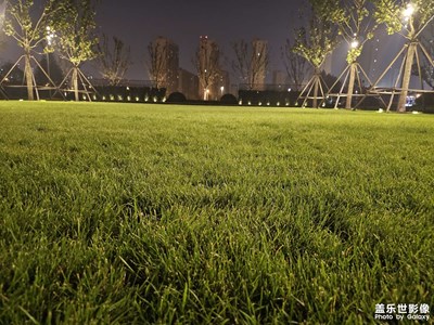 【身邊的風(fēng)景】生活小景隨拍