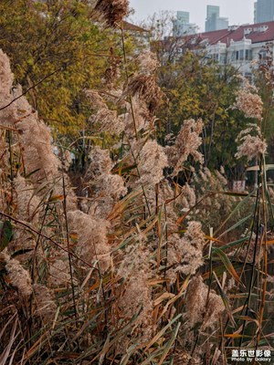 【身邊的風(fēng)景】+ 公園一角