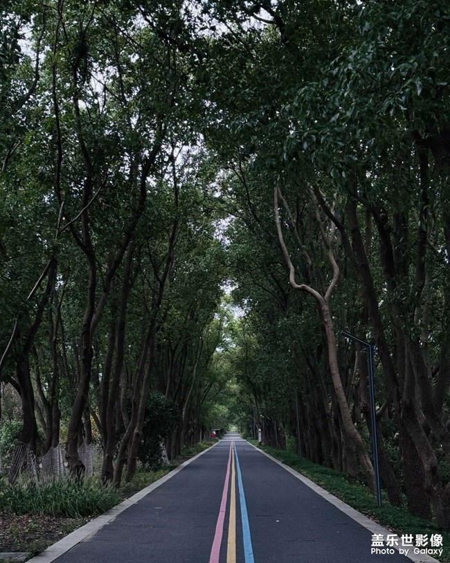 同里國家濕地公園