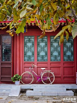 已開獎(jiǎng)【蓋樂世影像周賽第371期】——斑斕蕭瑟