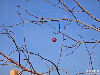 【斑斕蕭瑟】+ 秋冬美景