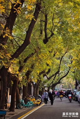 已開獎(jiǎng)【蓋樂世影像周賽第373期】——冬季城市風(fēng)光