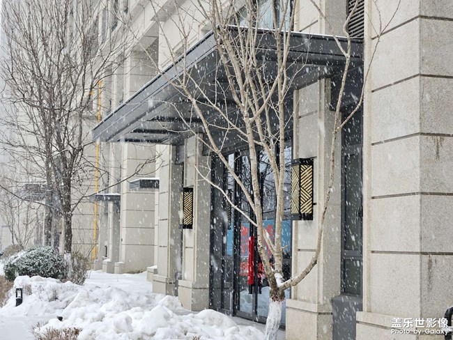 ??下大雪應(yīng)該許愿