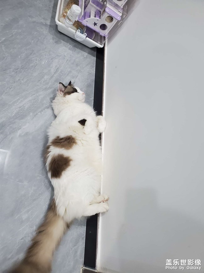 日常