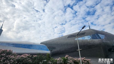 【冬季城市風(fēng)光】+ 鮮花如畫