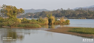 【愛攝影】濕地公園隨拍 ①