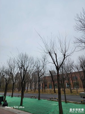 【多元化的世界】 初冬的天空